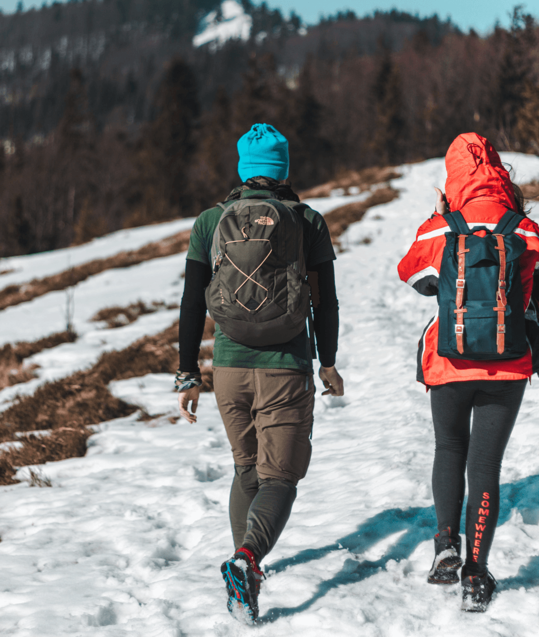 Unveiling the difference between hiking and trekking. Exploring Two outdoor pursuits